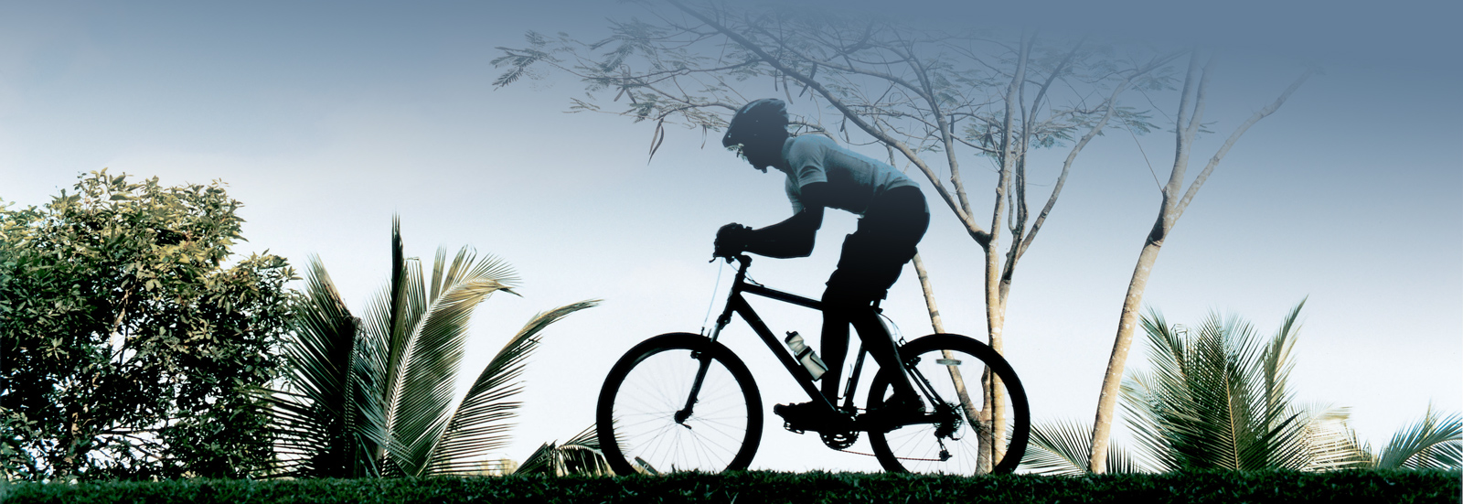 mountain biking trips